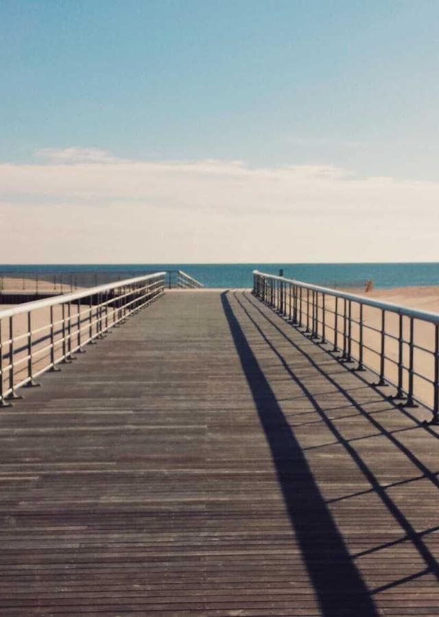 Ashes of the Last Dragon cover