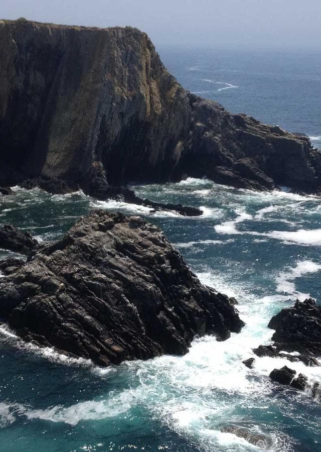 Bloodline Academy cover