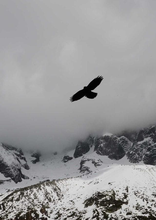 Moonlit Archive cover