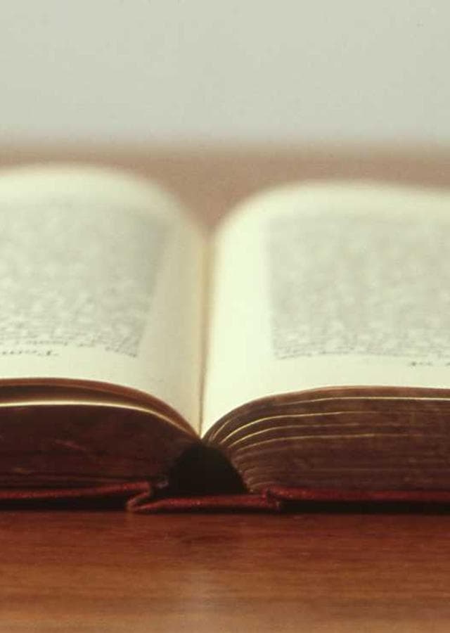 Neon Lotus Reborn cover